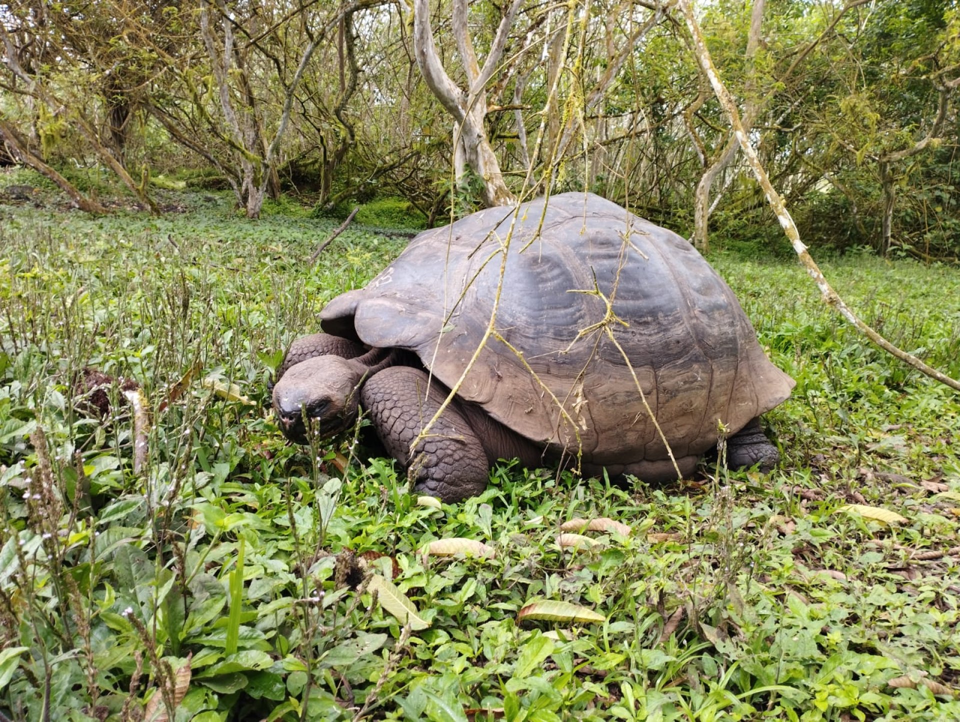 Ecuador y Galápagos 21 Días
