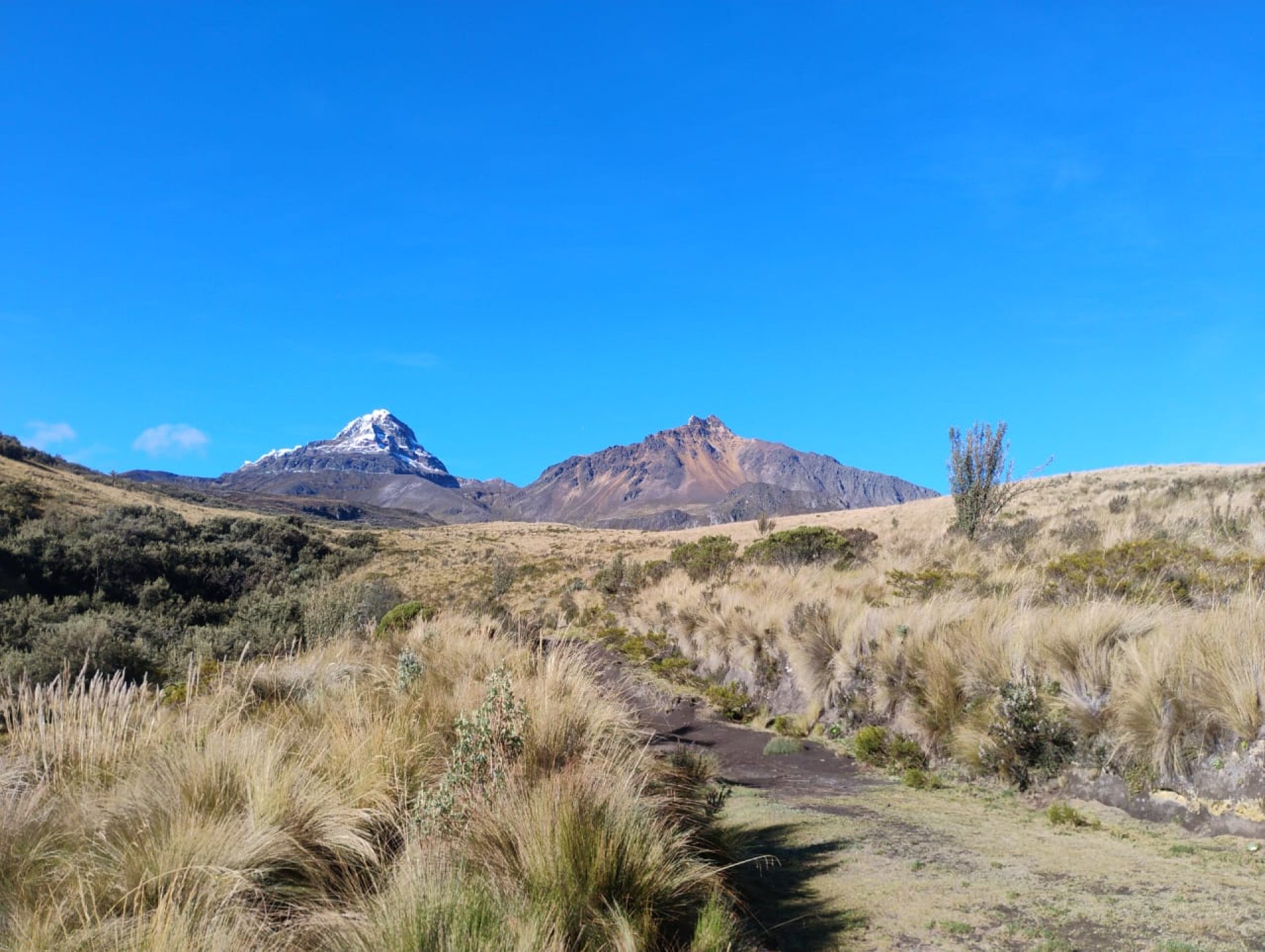 Tour Cotopaxi y Chimborazo