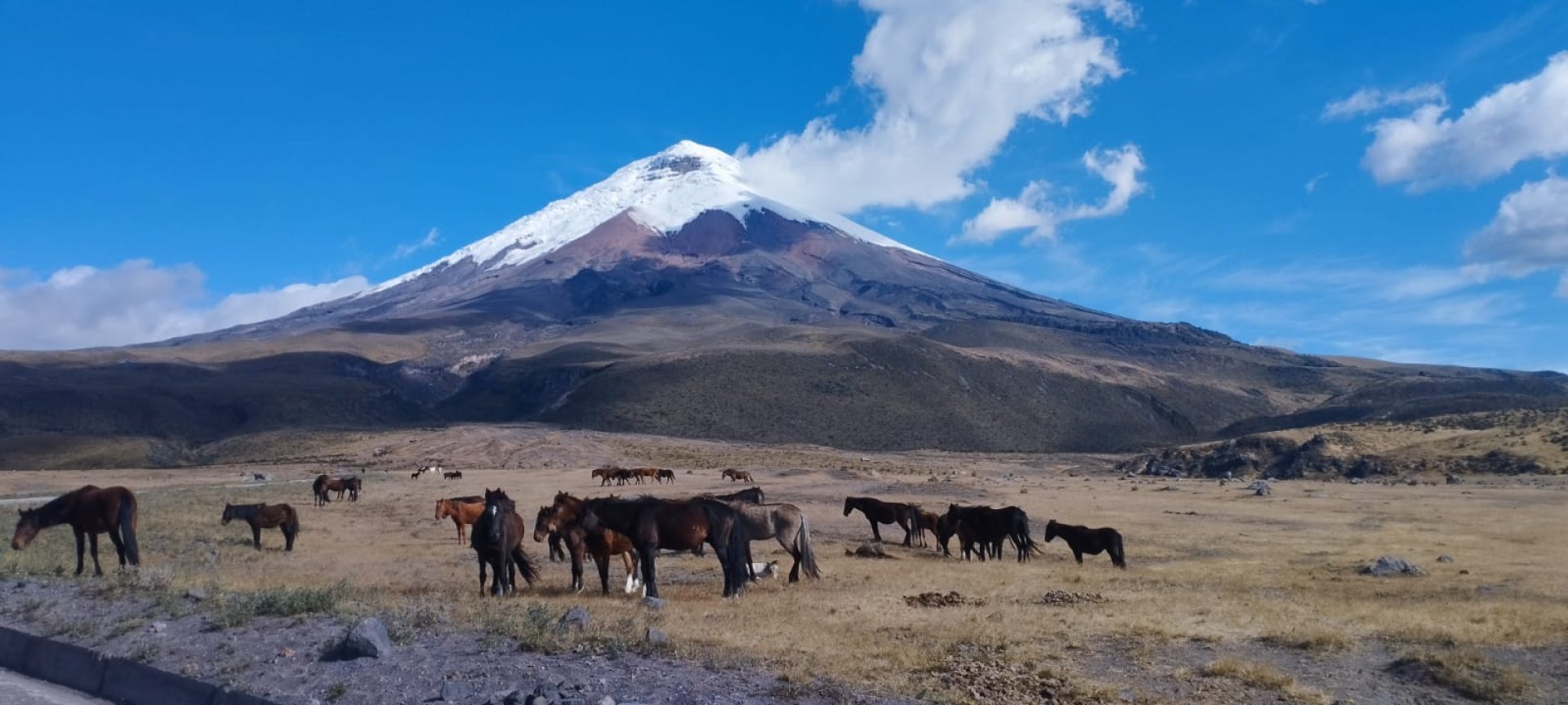 Cotopaxi en 7 Días