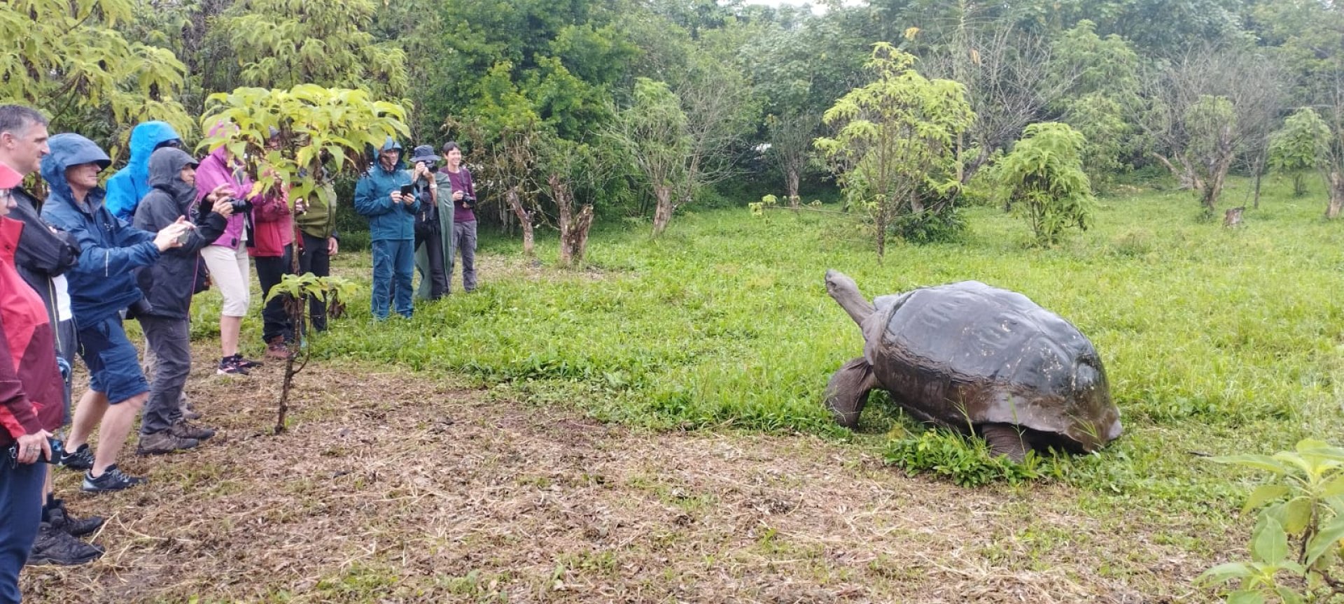 Ecuador y Galápagos 21 Días