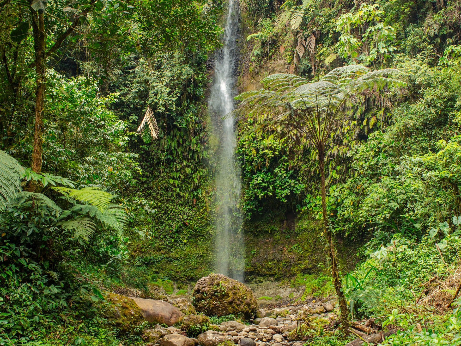 Vive la magia de la Amazonía en un solo día