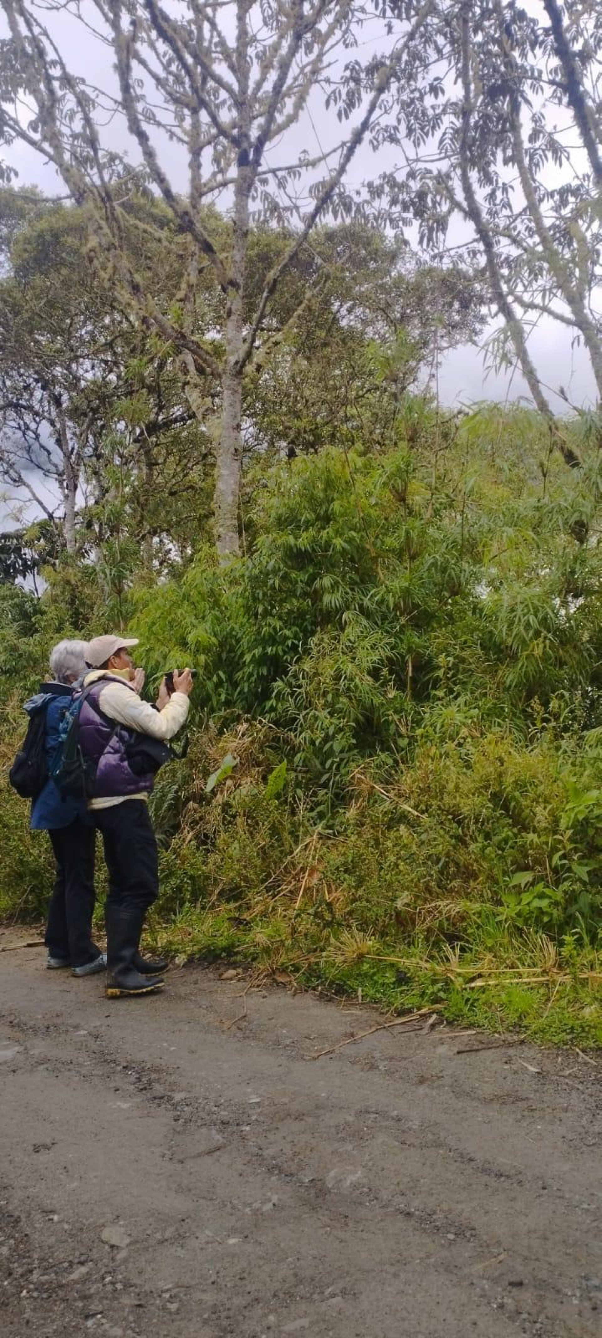 Avistamiento de Aves – Naturaleza en cada vuelo